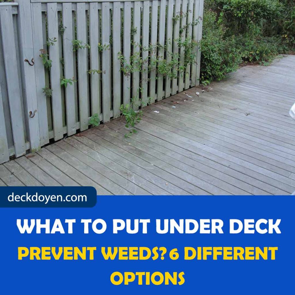 What To Put Under Deck To Prevent Weeds? 6 Different Options