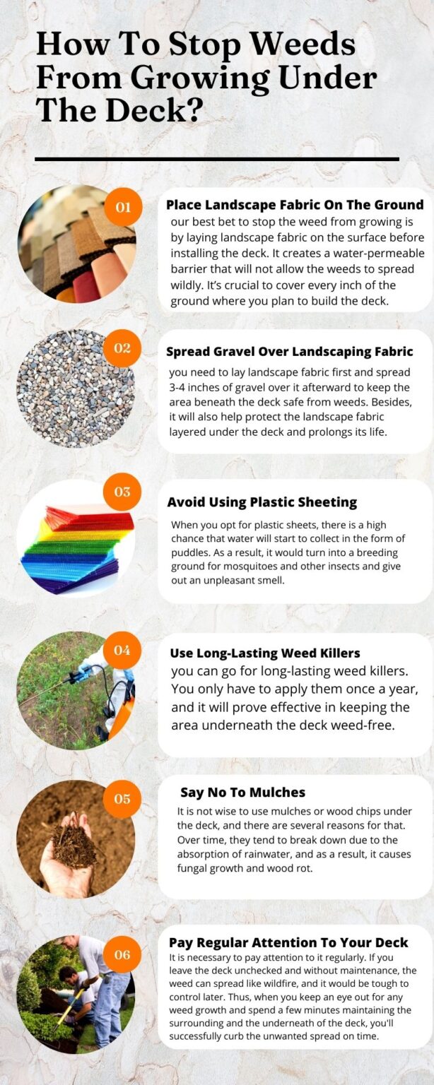 What To Put Under Deck To Prevent Weeds? 6 Different Options