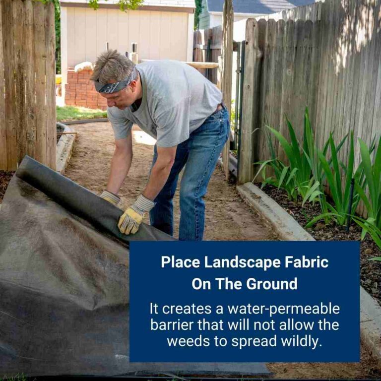 What To Put Under Deck To Prevent Weeds? 6 Different Options