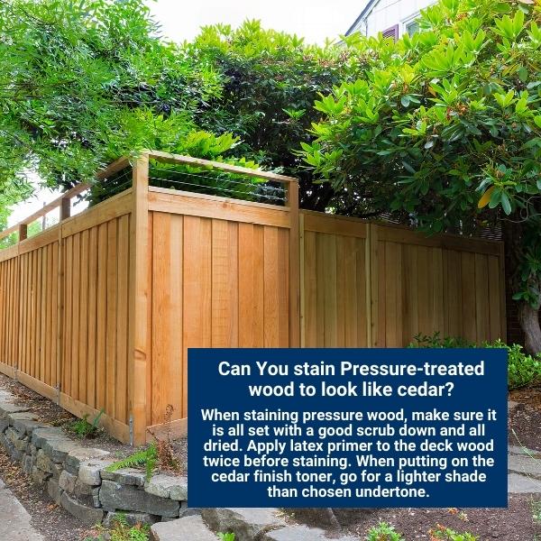 Can You stain Pressure-treated wood to look like cedar