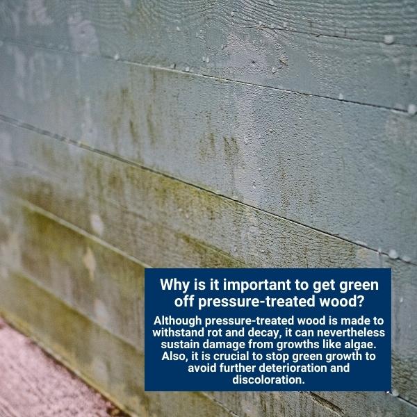 Why is it important to get green off pressure-treated wood?