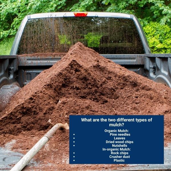 What are the two different types of mulch