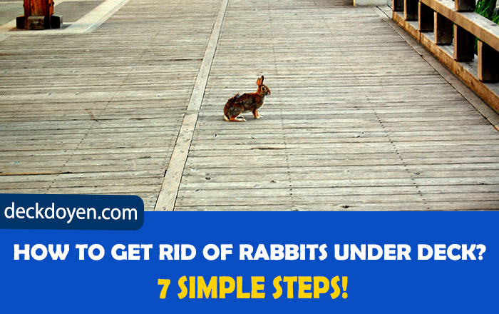 How To Get Rid Of Rabbits Under Deck