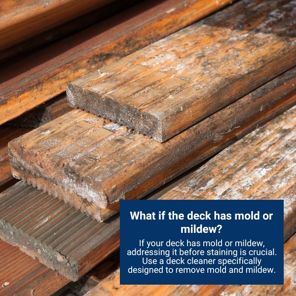 What if the deck has mold or mildew?