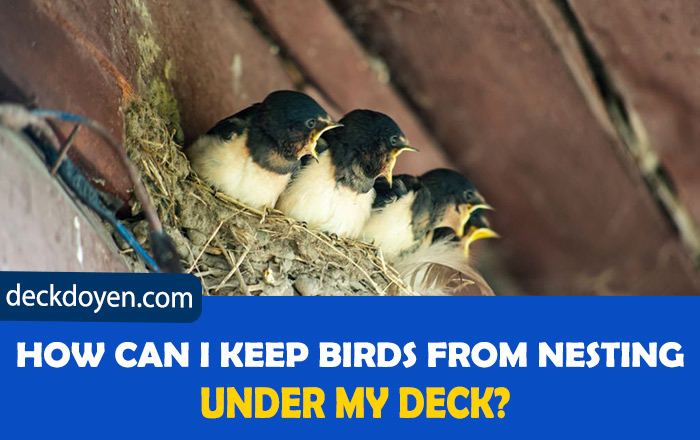 How To Keep Birds From Nesting Under Their Decks