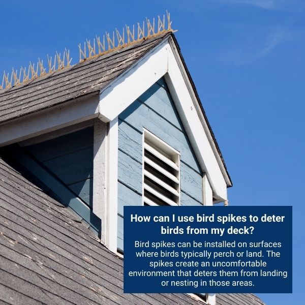 How can I use bird spikes to deter birds from my deck?