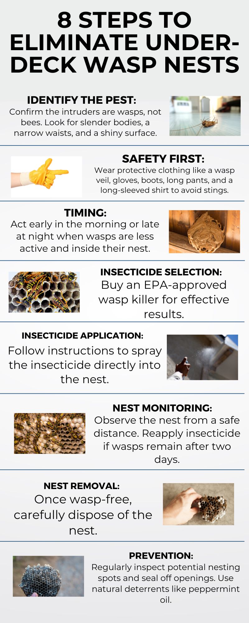 8 Steps to Eliminate Under-Deck Wasp Nests