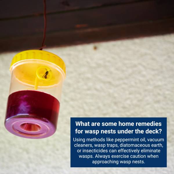 What are some home remedies for wasp nests under the deck?